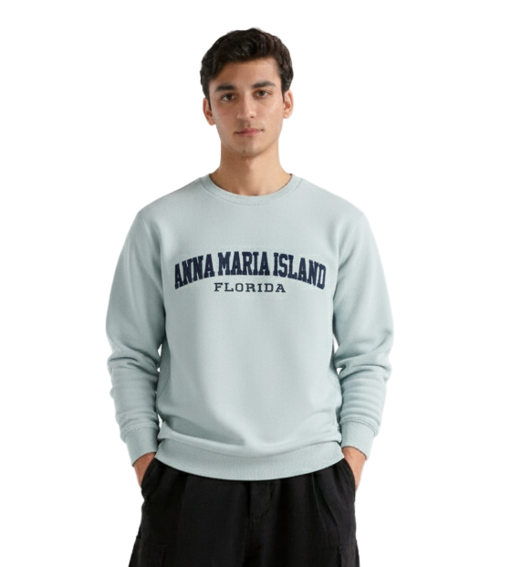 Premium Imported Oversized Embroidered Sweatshirt