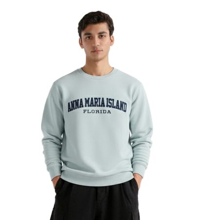 Premium Imported Oversized Embroidered Sweatshirt