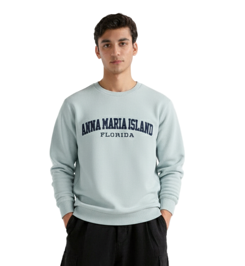 Premium Imported Oversized Embroidered Sweatshirt